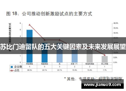 苏比门迪留队的五大关键因素及未来发展展望