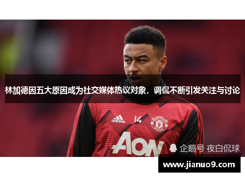 林加德因五大原因成为社交媒体热议对象，调侃不断引发关注与讨论